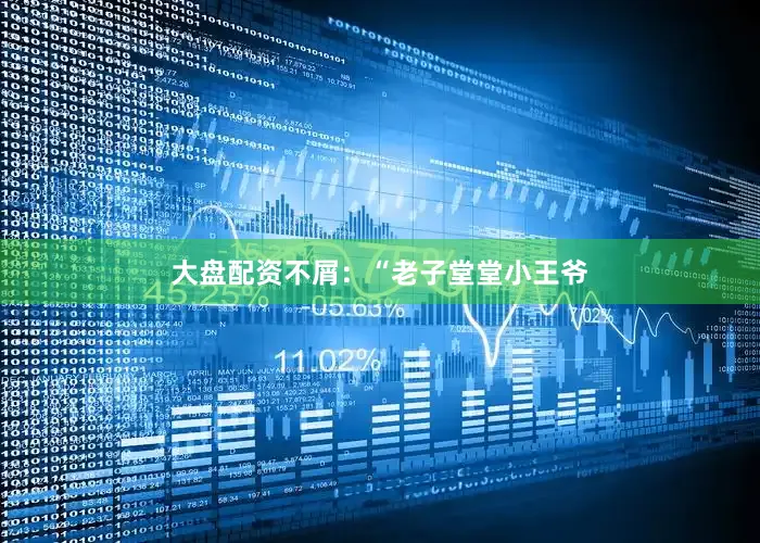 大盘配资不屑：“老子堂堂小王爷
