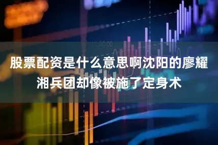 股票配资是什么意思啊沈阳的廖耀湘兵团却像被施了定身术