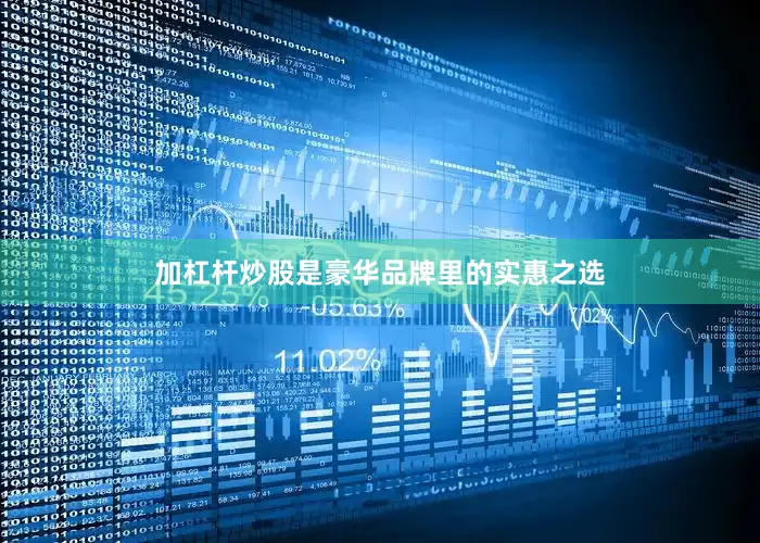 加杠杆炒股是豪华品牌里的实惠之选